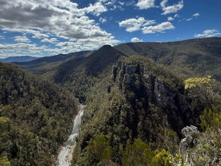 River flowing through forested valley with towering rock cliffs and mountains under blue sky