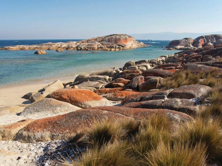 Beach on Flinders Island credit Tourism Australia