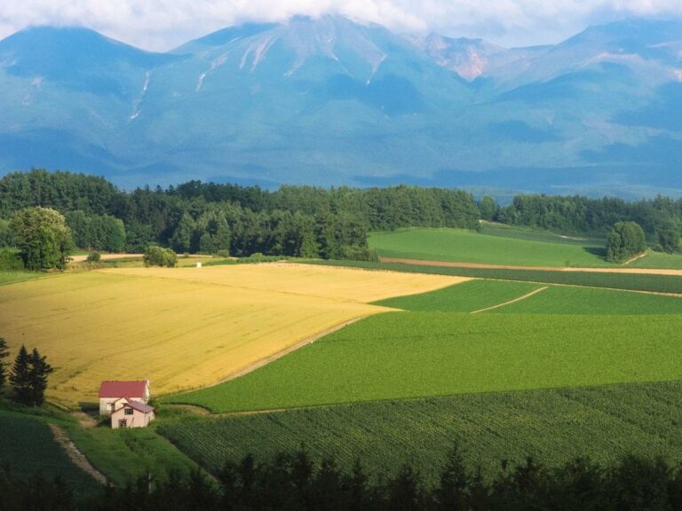 Biei, Hokkaido, Japan