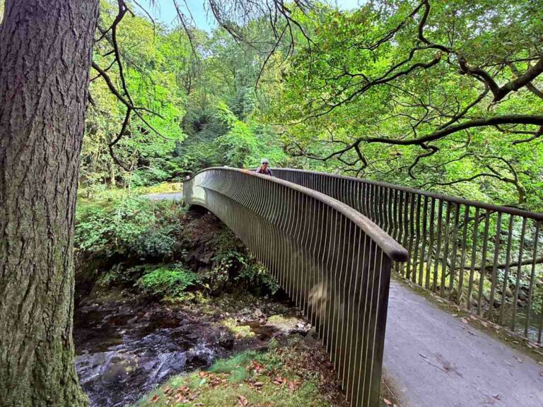 Metal footbridge crossing stream through lush forest canopy on walking trail