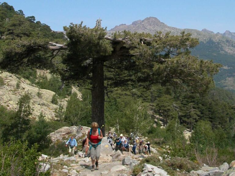 Corsica Misotys Cinto walking trails