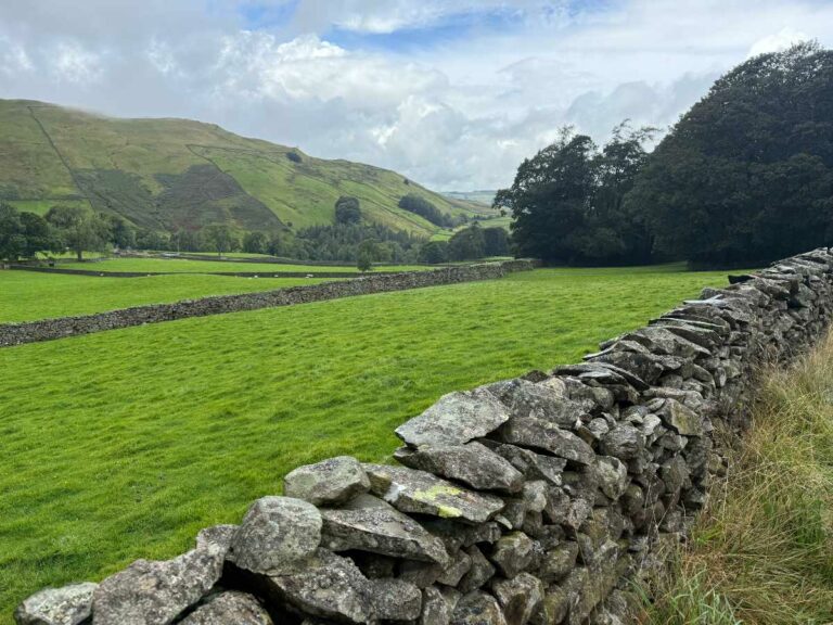 Stone wall bordering green valley pasture with rolling hills and woodland in rural countryside