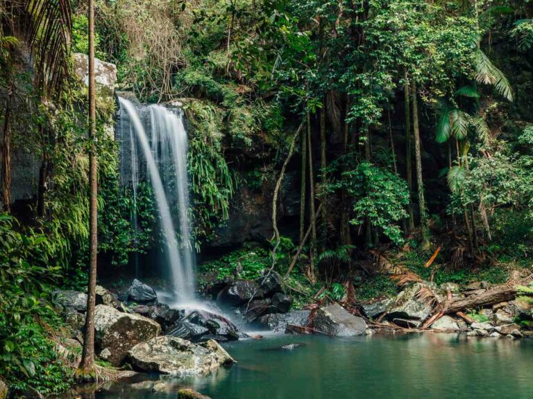 Curtis Falls