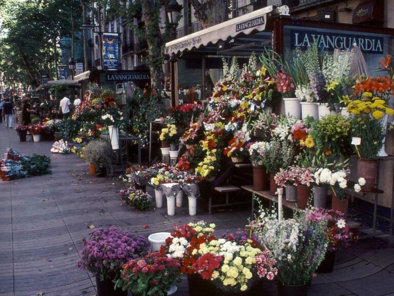 Flower stand, Barcelona, Spain