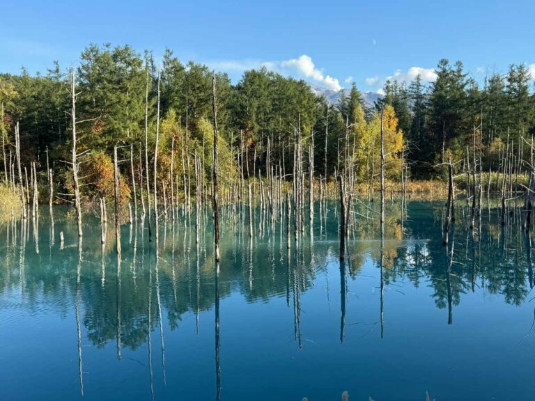 Biei Blue Pond, Hokkaido