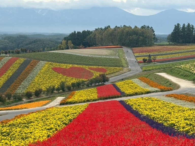 Biei Flower Fields, Hokkaido