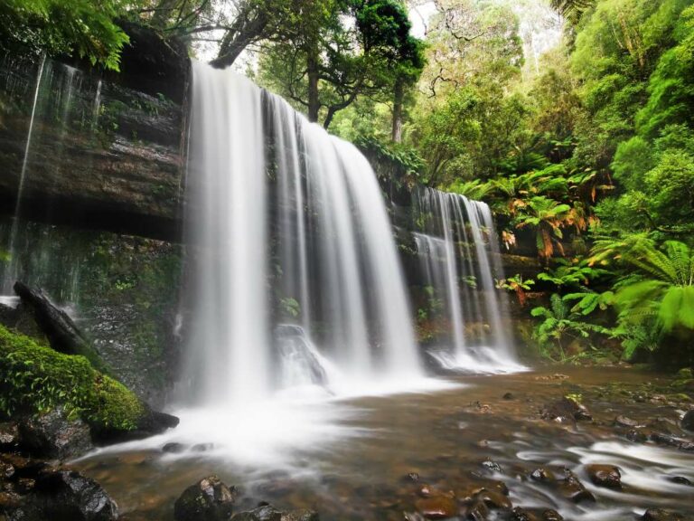 Day 10. Russell Falls Tasmania 1200×900