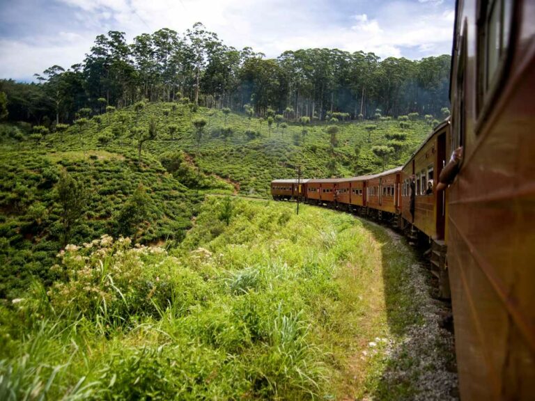 View looking out of the train window showing the trains many carriages and the green valley.