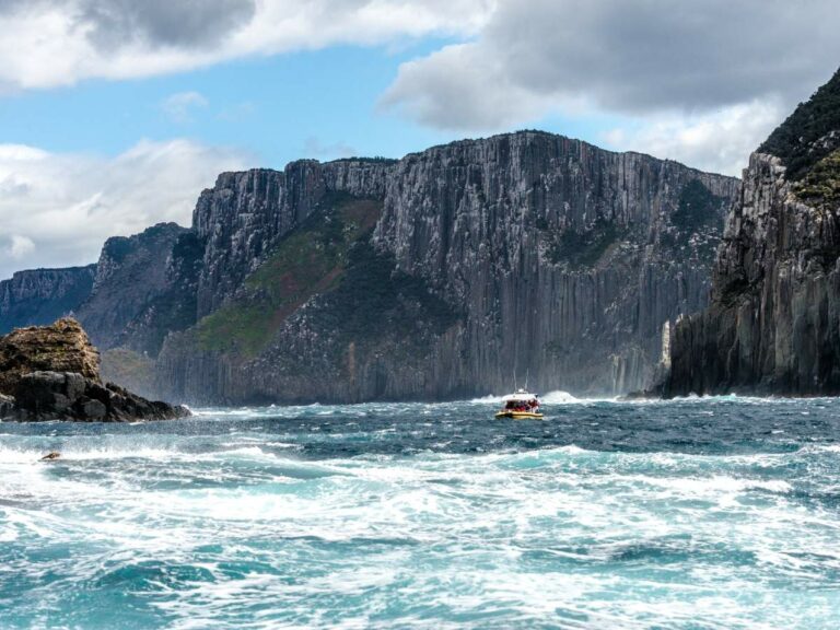 Tasman Island Cruises – Pennicott Wilderness Journeys
