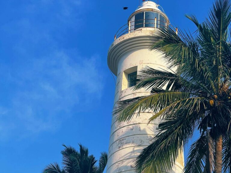 Looking up at a lighthouse with palm tree and blue sky in the background.