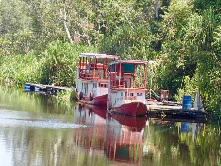 Day 2. Kalmantan – klotoks