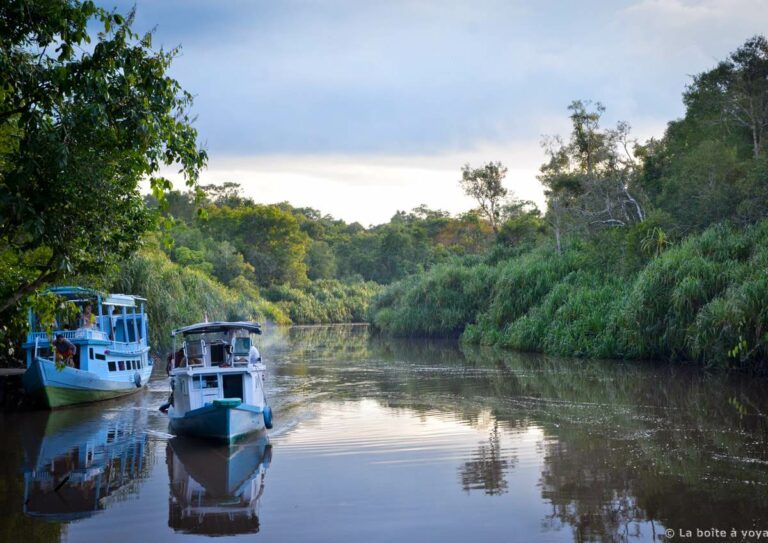Klotoks on the river – Kalmantan, Borneo