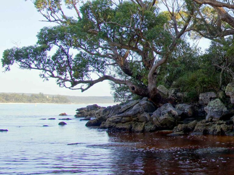 Green Patch, Booderee National Park