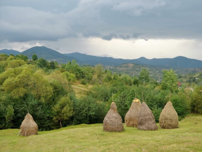 Day 3. Maramures, landscape