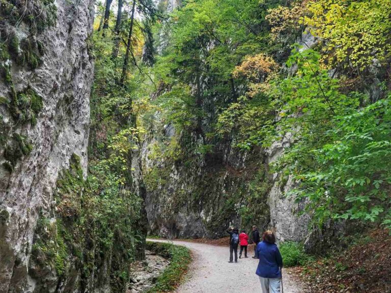 Walking to Bucegi Moutains, Romania