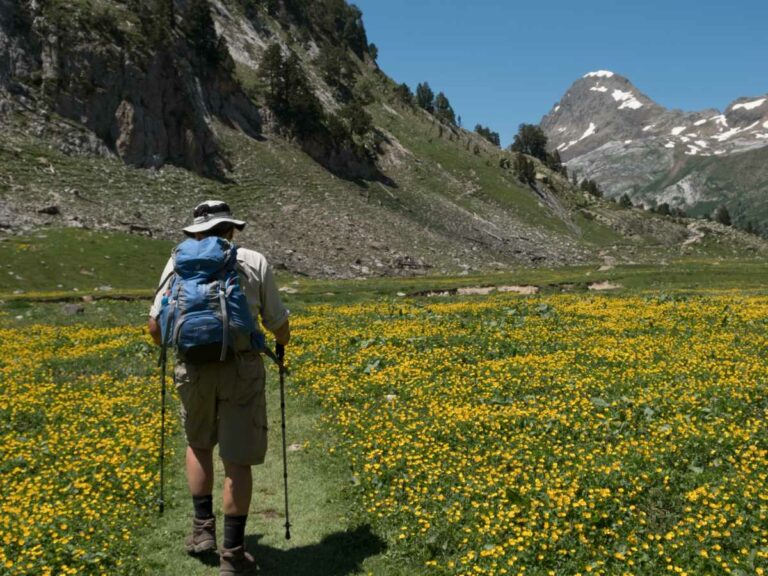 Walking through the valley, Benasque, Spain