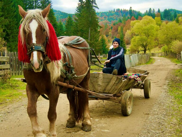Bucovina, Romania
