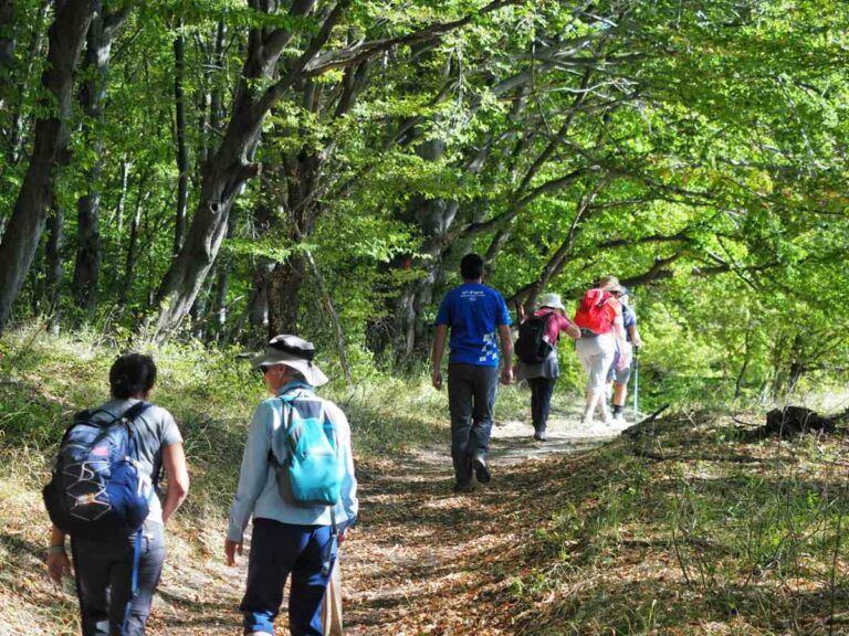 Malancrav walk, Romania
