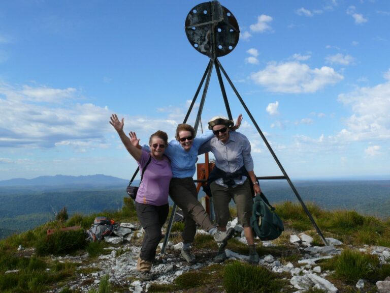 Mt Donaldson walk