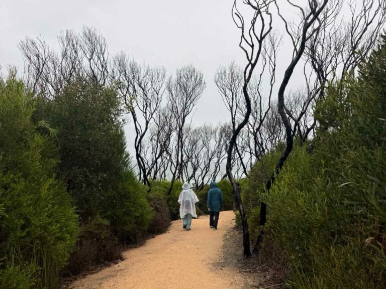 Mallacoota coastal trail