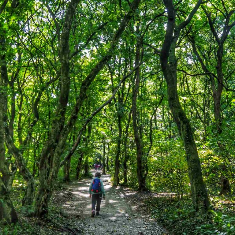 Hiking in Turda Gorge, Romania