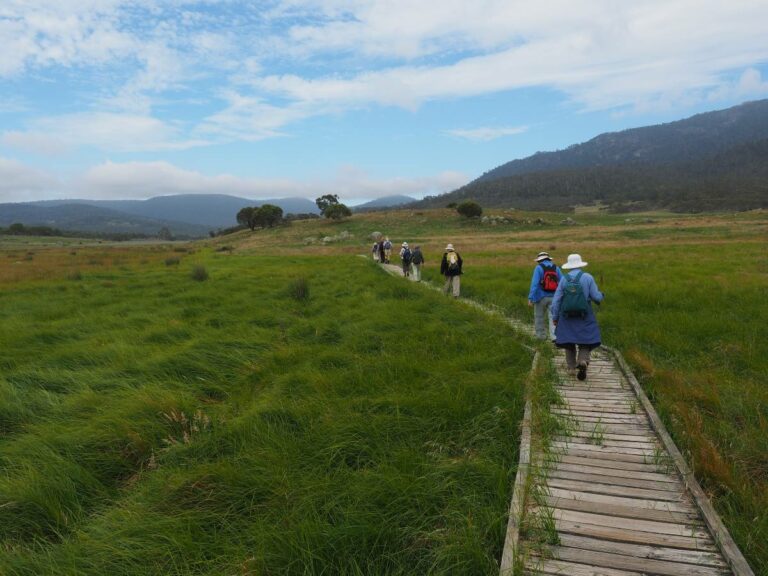walking trails Mallacoota