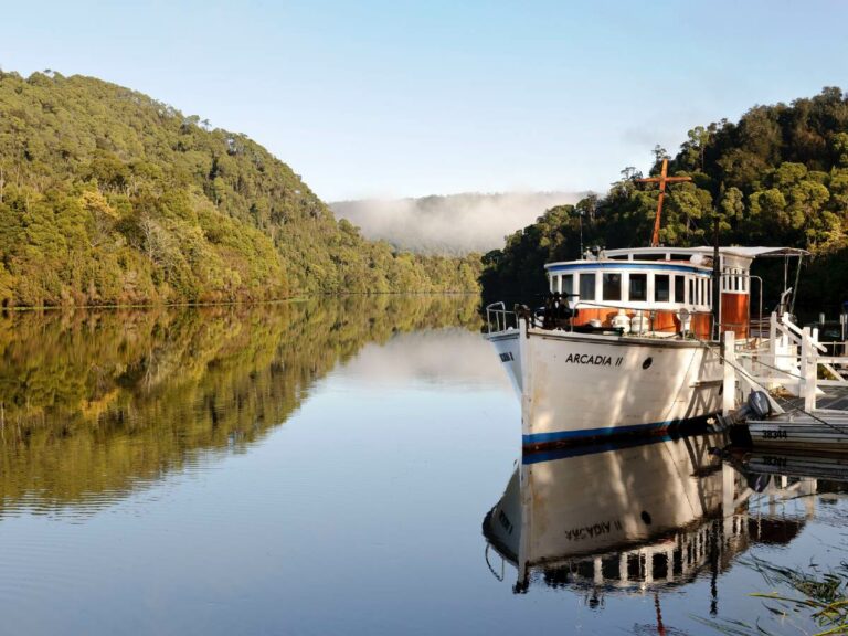 Pieman River cruise credit Corinna WIlderness Experience