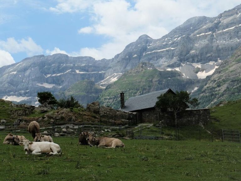 Rural scene Pineta, Spain