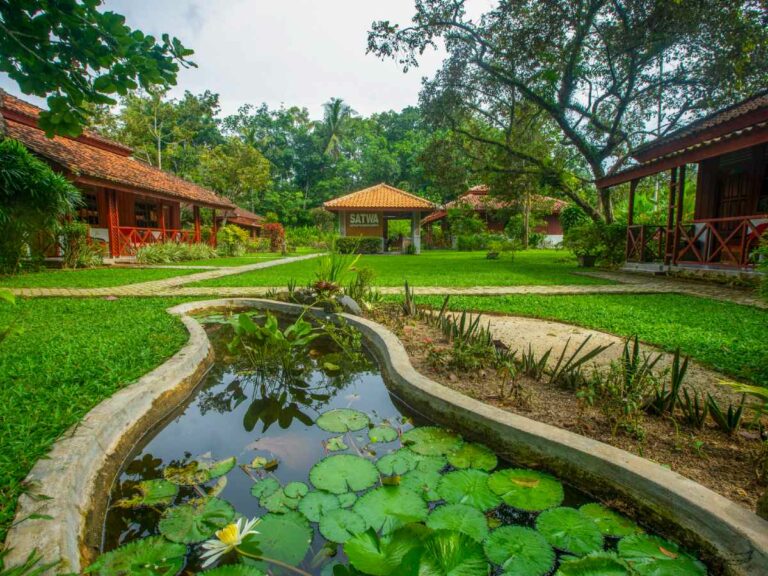 Sumatra-WayKambas-Satwa Eco Lodge grounds