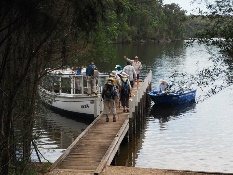 Mallacoota Inlet cruise