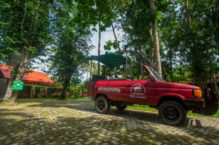Sumatra-WayKambas-Satwa Eco Lodge Safari Car