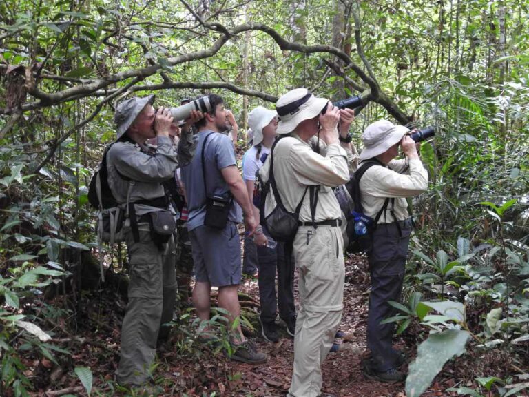 Sumatra wildlife viewing