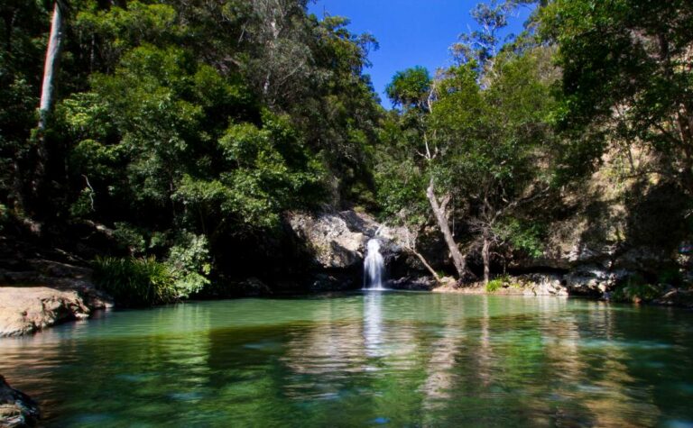 Kondalilla Falls
