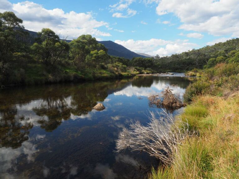 Kosciusko, mountain river