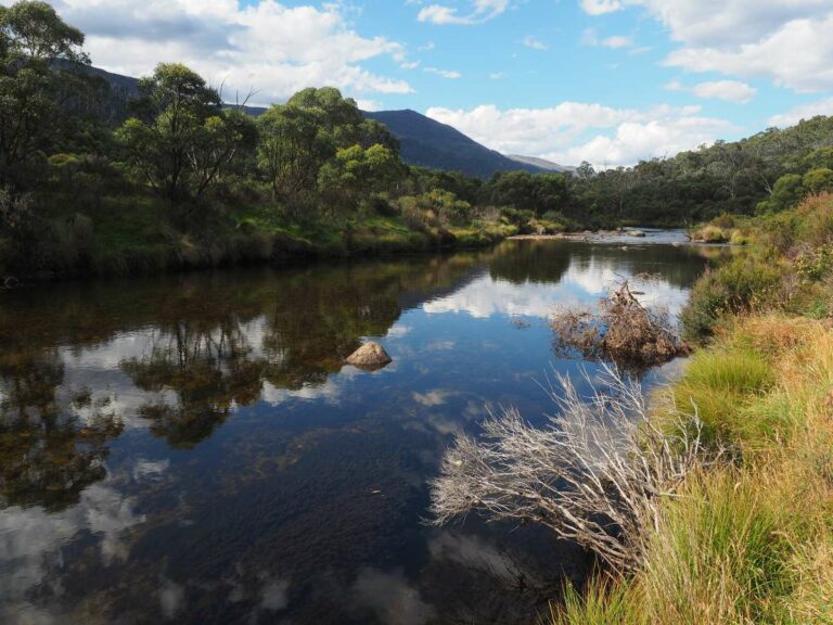 Snowy River, Kosciusko
