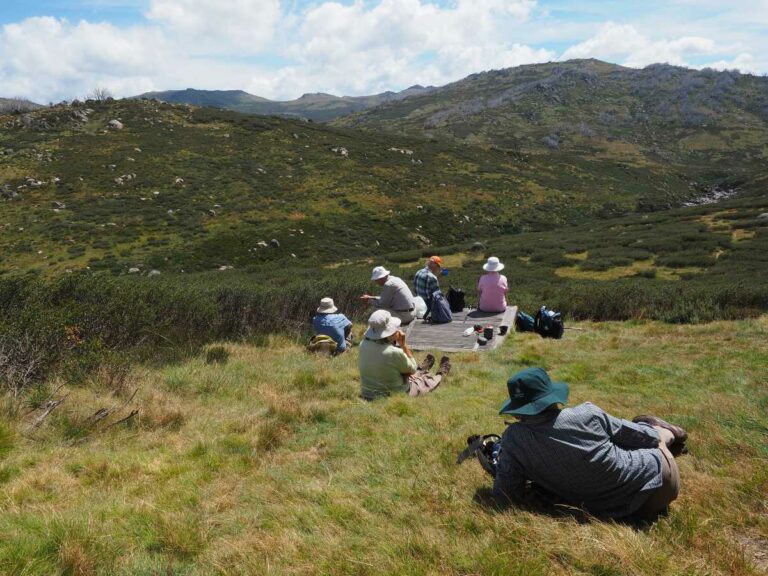 Kosciusko, picnic lunch spot
