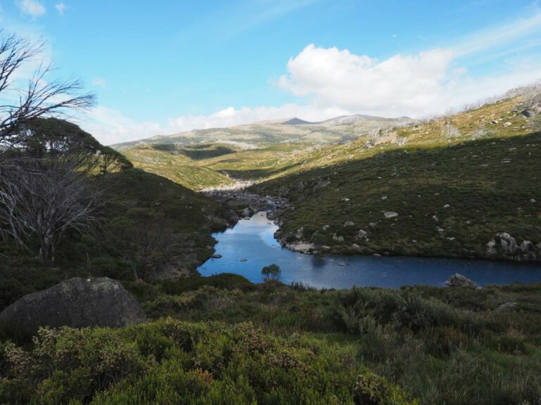Kosciusko NP, scenic view