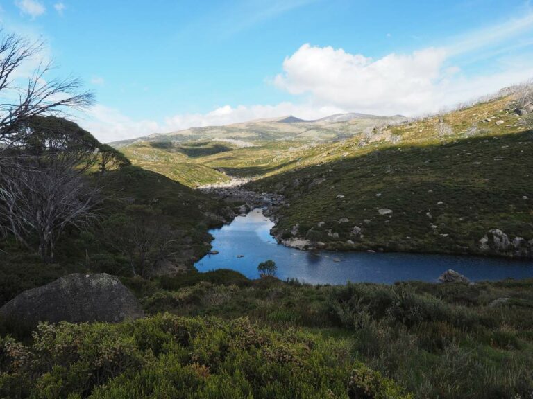 Kosciusko, views of the Snowy River