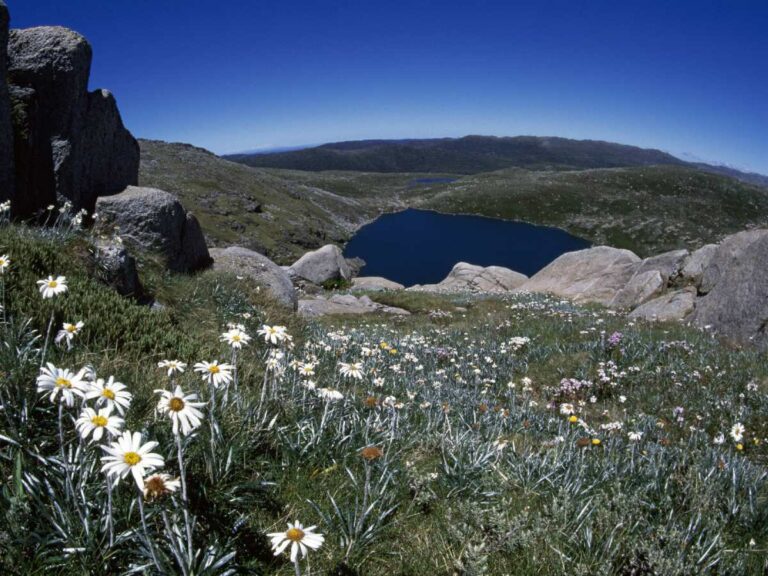 Kosciuszko National Park credit Tony Karacsonyi