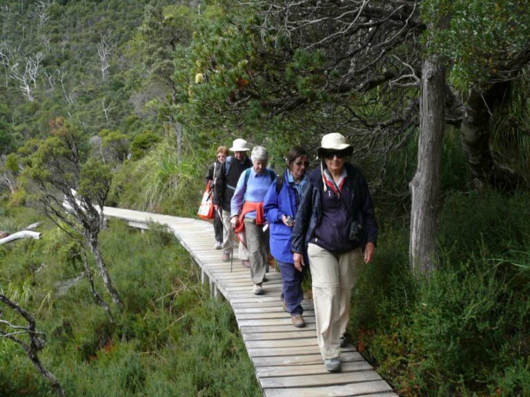 Tassie Walking Trails NP