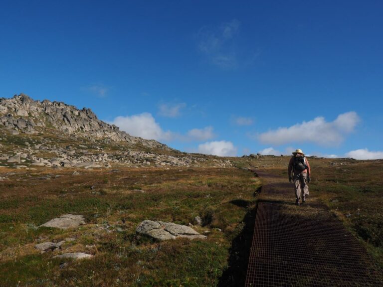 Walking in Kosciusko
