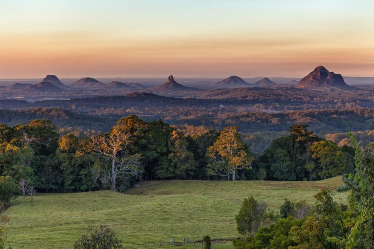 Views of the Glasshouse Mountains from Mary Cairncross Park