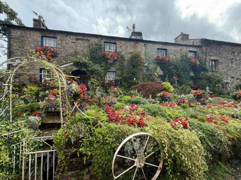 Historic stone cottage with red flowering gardens and climbing ivy in English countryside village