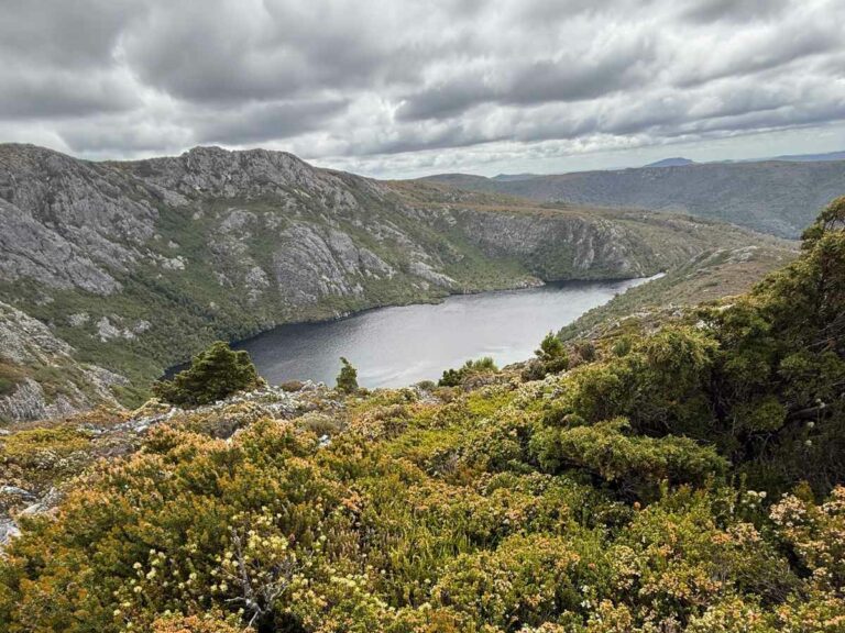 Dove Lake surrounded by rocky mountains and native bushland in Tasmania's wilderness landscape