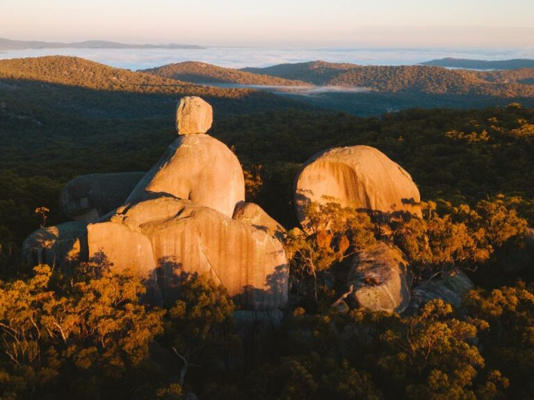 Girraween – credit Tourism and Events Queensland