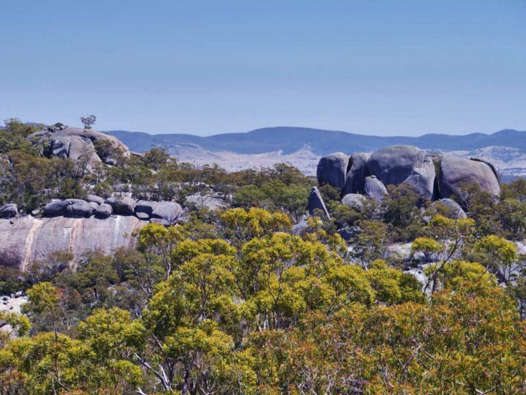 Girraween view from Mount Norman, QLD