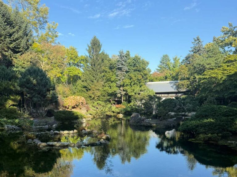 Japanese water garden with pond, autumn trees and traditional building nestled among native forest landscaping