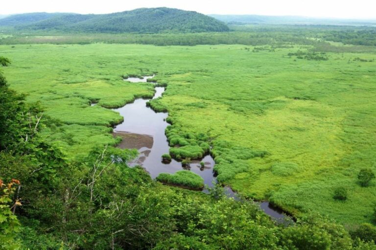 Kushiro Marshland, Hokkaido