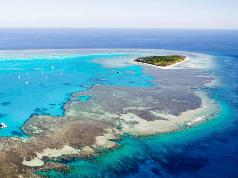 Lady Musgrave Island
