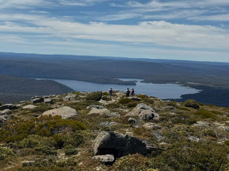 Group of hikers standing on rocky ridge overlooking Lake St Clair and forested valley, Tasmania